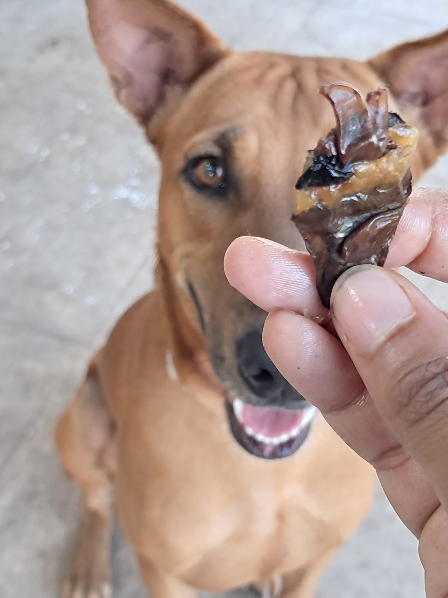 Dehydrated chicken heart (Net.Wt. 200gms)
